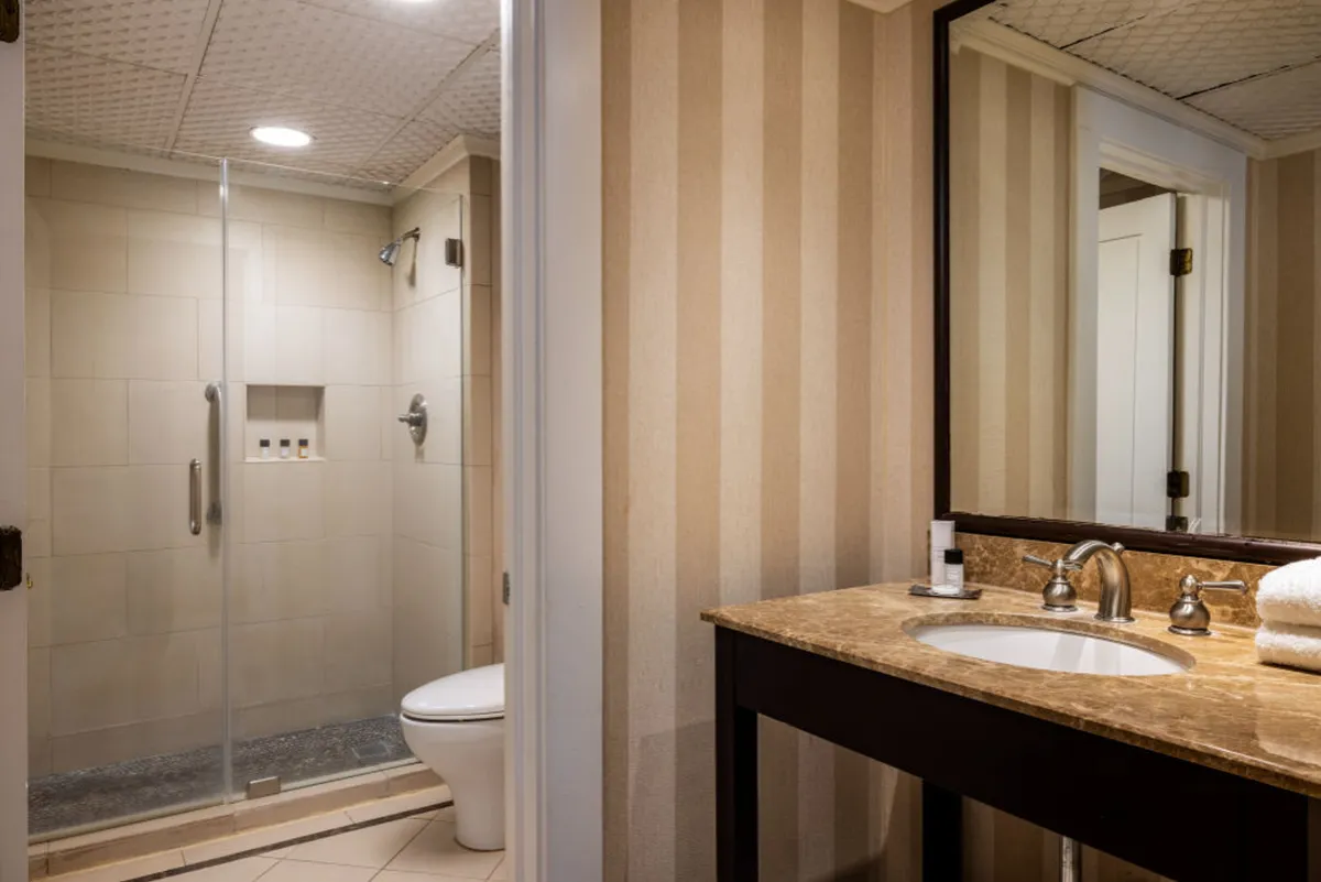 This image features a tranquil, modern bathroom with a spacious walk-in shower, a sleek vanity with a large, elegant mirror, and a well-lit, refreshing atmosphere. The setting is designed for relaxation and personal care, with all elements contributing to a spa-like ambiance.
